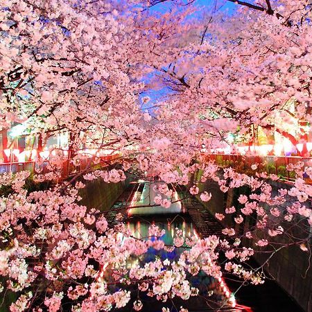 Апартаменты Coto Tokyo Shibuya Экстерьер фото