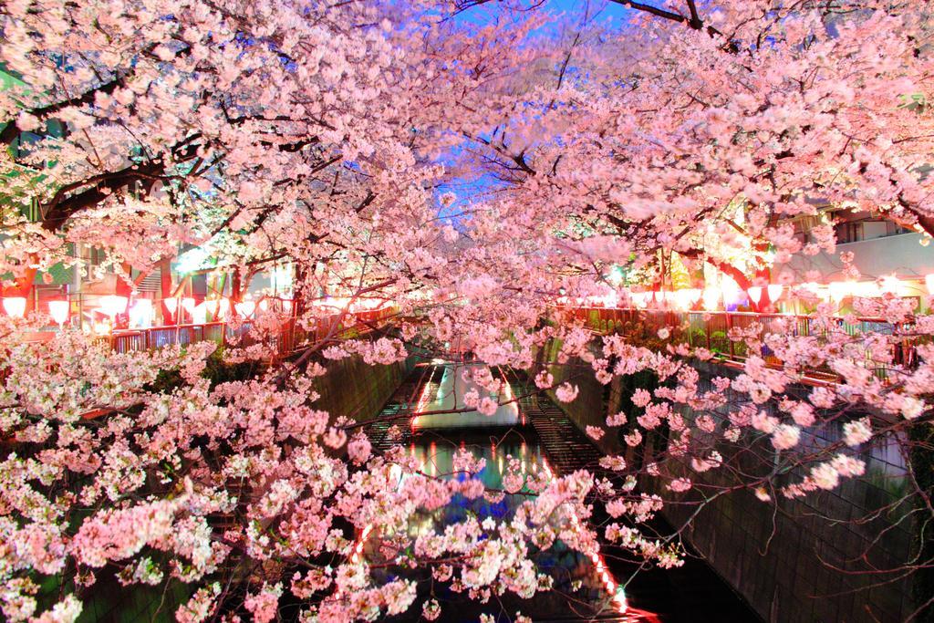 Апартаменты Coto Tokyo Shibuya Экстерьер фото