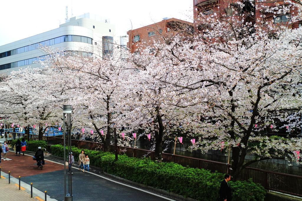 Апартаменты Coto Tokyo Shibuya Экстерьер фото